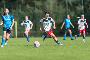 Bild 202 - wBJ VfL Pinneberg - Hamburger SV 2 : Ergebnis: 1:3